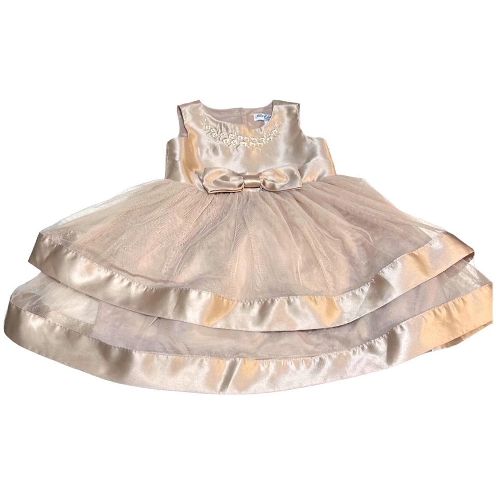Lots of Love Special Occasion dress from Speechless size 3T -see description